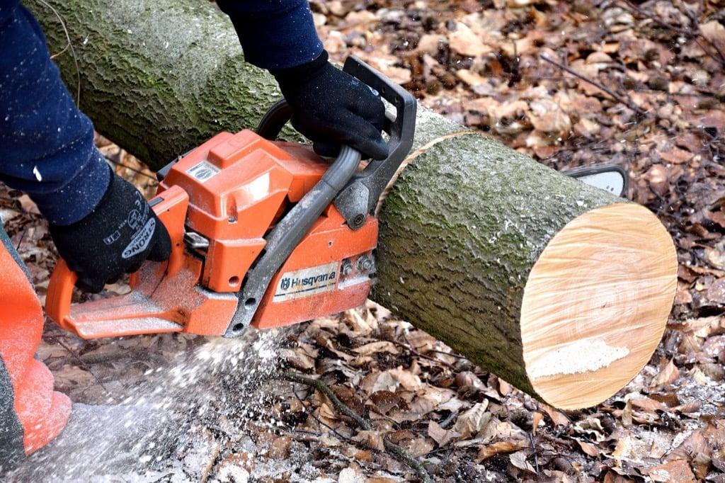 Professional using a chainsaw to cut a log in the forest.