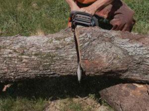 cutting with a chainsaw