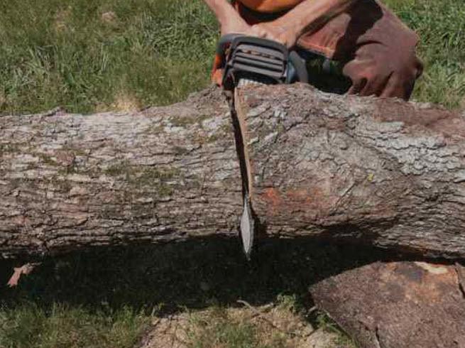 cutting with a chainsaw
